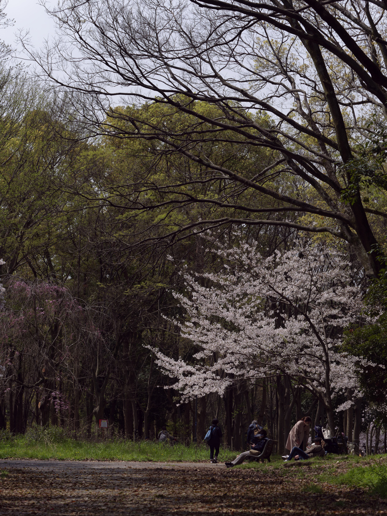 _G9P4522_DxO