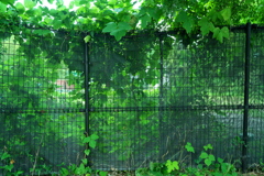 DSC02091