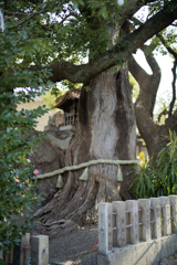 _A7C3877_DxO