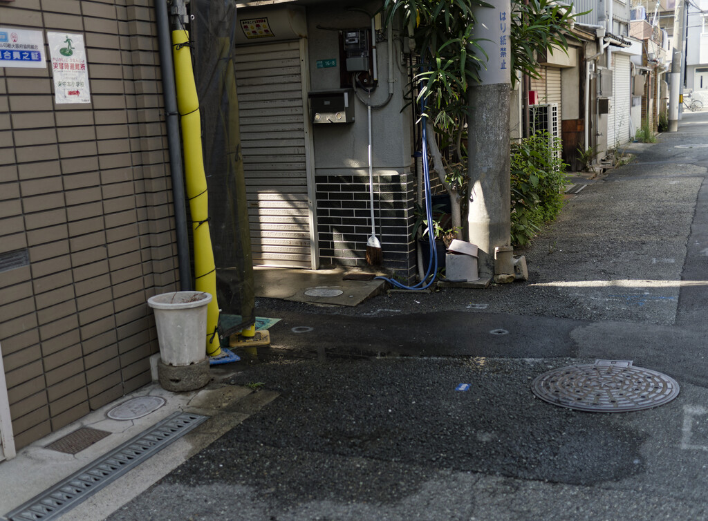 _1069346_DxO