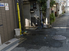 _1069346_DxO