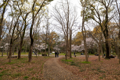 DSC05425_1