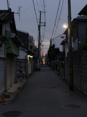 _1050305_DxO
