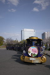 P1000699