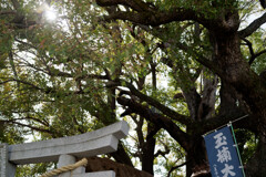 A7C09552_DxO