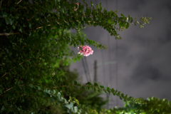 DSC06367