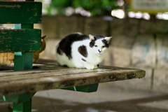 DSC01117