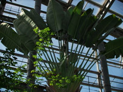 P1082347