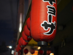 P1051279