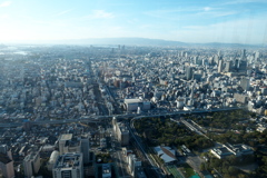 P1020250