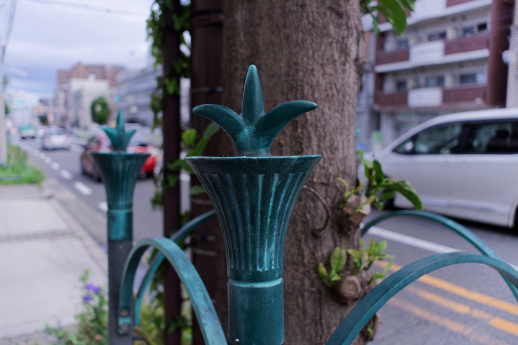 DSC09434_DxO