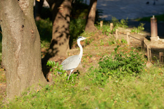 DSC03350b