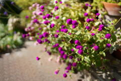DSC00090