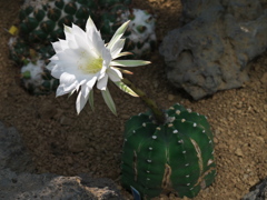 P1082656