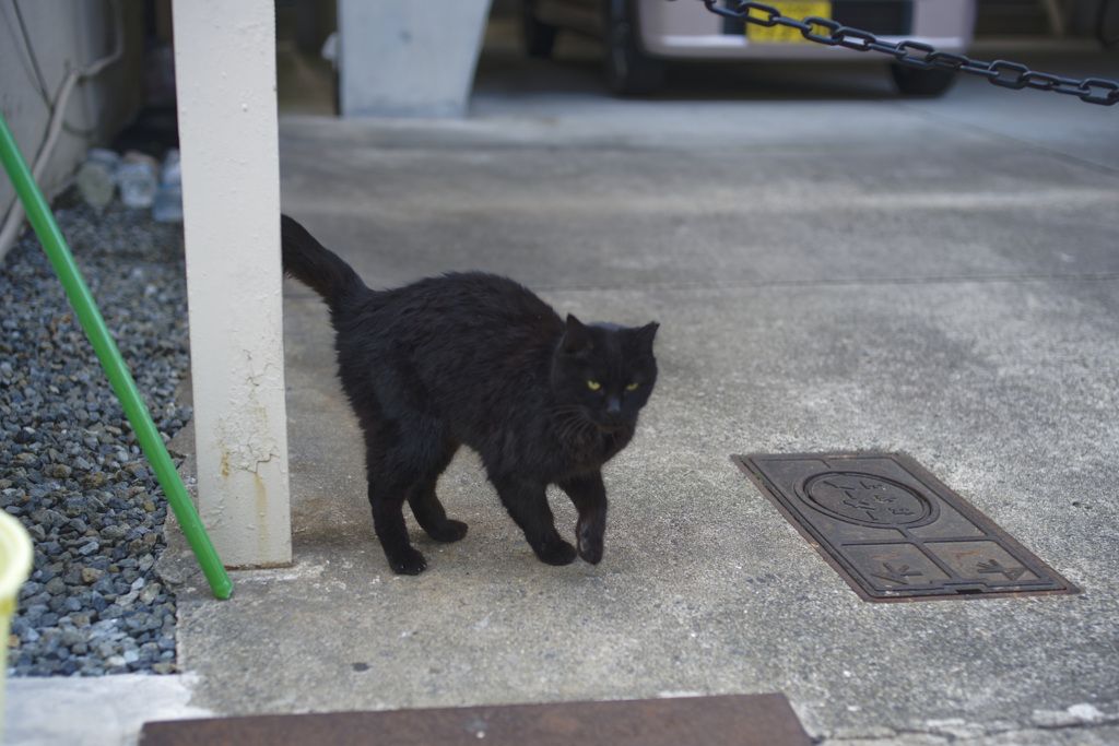 _1025383_DxO