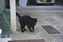_1025383_DxO