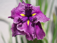 P1053039