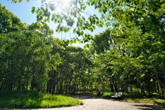 DSC01007