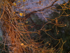 P1050693