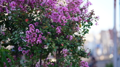 DSC06852