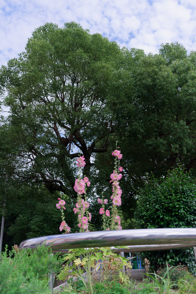 DSC09430_DxO