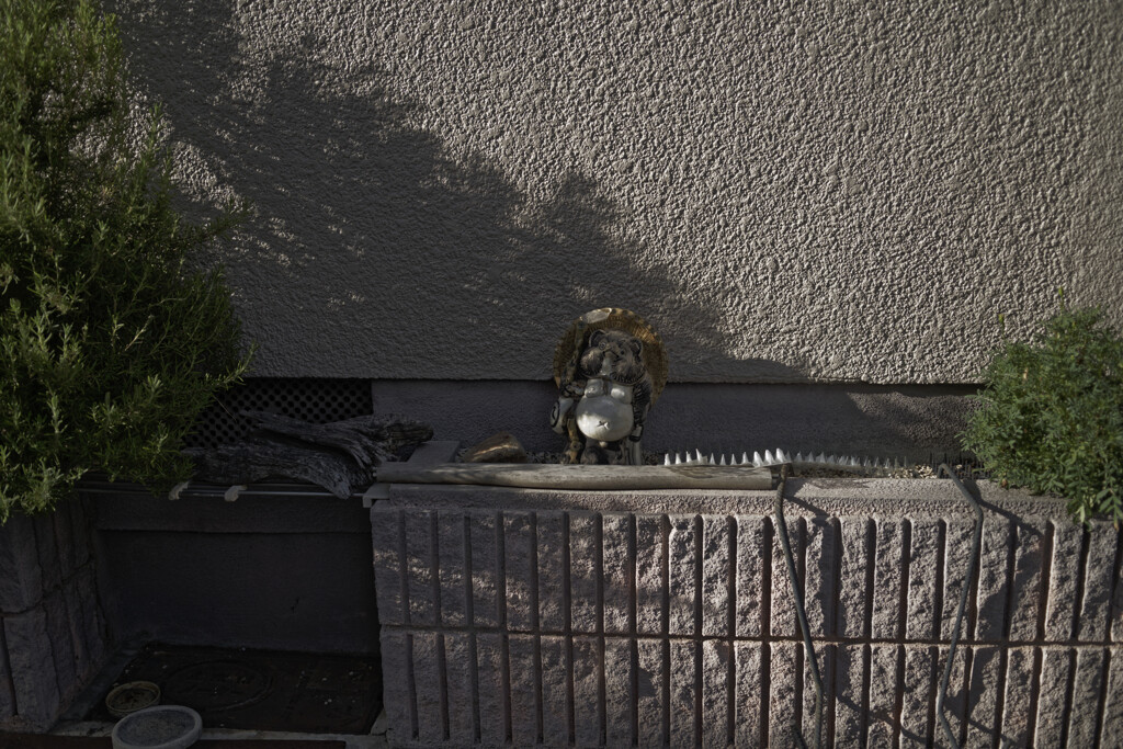 _A7C4407_DxO