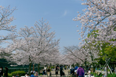 P1000851_DxO