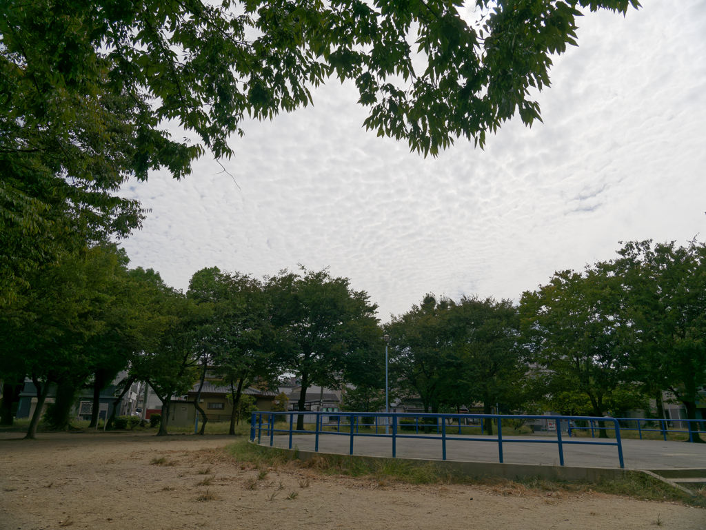 _1010659_DxO