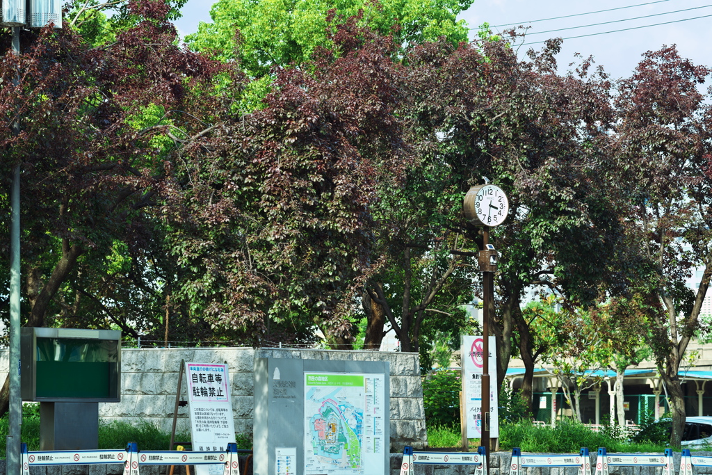 DSC01780