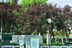 DSC01780