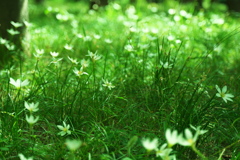 DSC02128_1