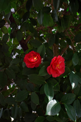DSC01289_DxO