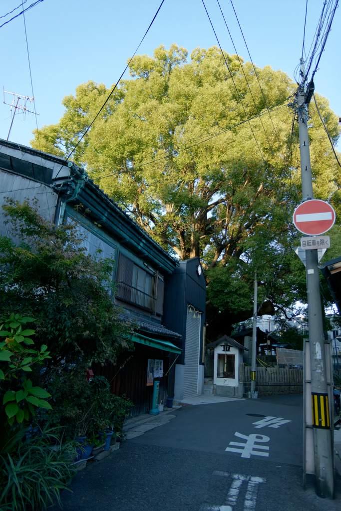 P1050026_DxO