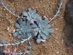 P1082617
