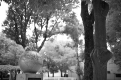 DSC07251