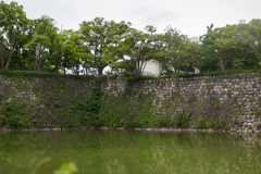 DSC06440
