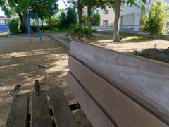 雀の学校
