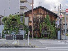 植物に浸食される廃墟