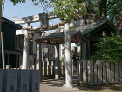 今日の八王子神社御旅所