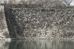 _DSC3070_DxO