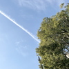 P1010327