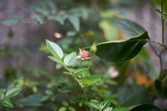 A7C00122