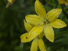 _1040600_DxO