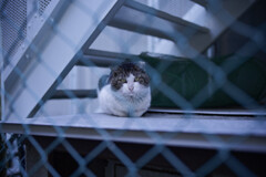 _7R32458_DxO