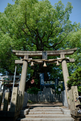 タブレットサイズで現像したもの