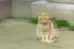 幽体離脱