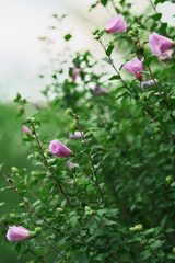 DSC01648