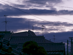 _1030695_DxO