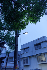 DSC09583_DxO