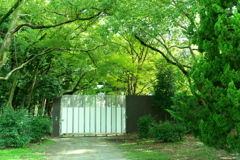 DSC01786